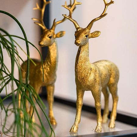 Apartament Zloty Jelonek - 4 Osobowy Na Placu Ratuszowym - Space Apart イェレニャ・グーラ エクステリア 写真